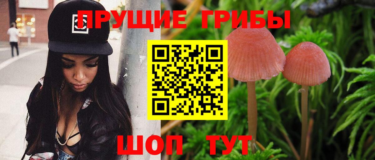 наркота  Галлюциногенные грибы Psilocybine cubensis  Вход с VPN  Джанкой 